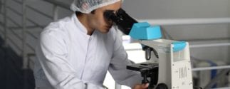 Lab Worker looking into a microscope