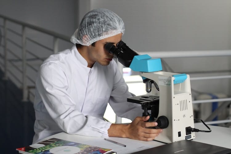 Lab Worker looking into a microscope