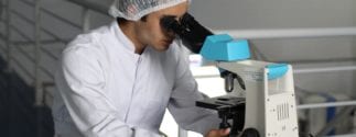 a lab worker looking into a microscope