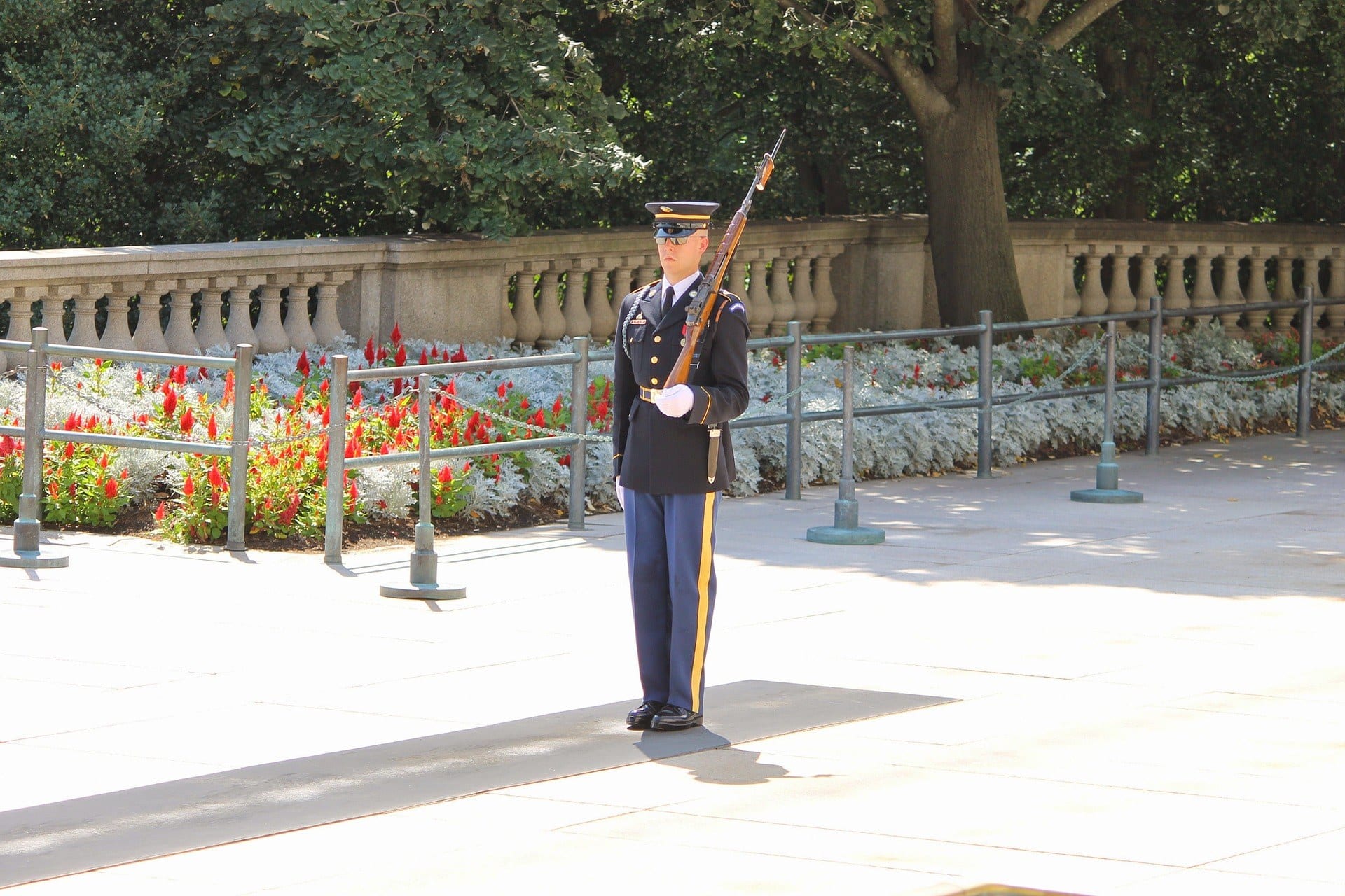 A soldier in uniform at parade
