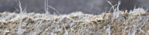Close-up of gray and light brown asbestos fibers