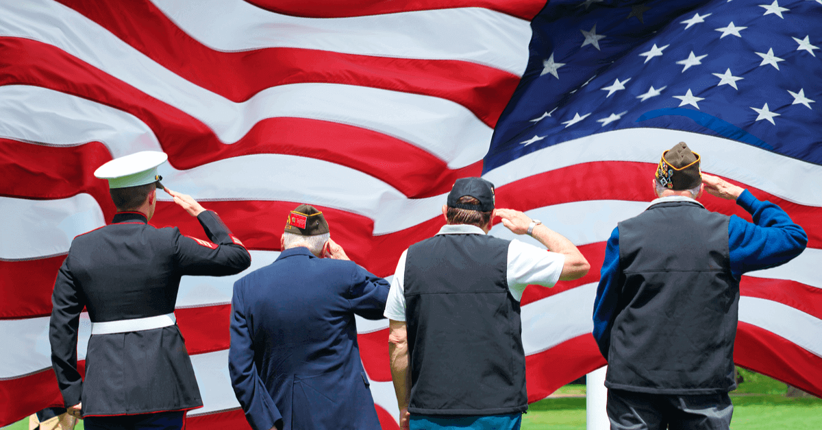 a group of veterans (with their back to the viewer) salutes a large American flag