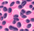 Epithelioid Cells