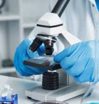 A tissue biopsy is examined under a microscope