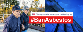 Ban Asbestos Blog Image