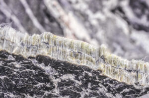 close up of asbestos fibers